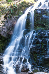 Montezuma Falls -  Tasmanien - Teilaufnahme