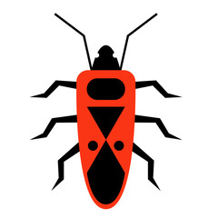 red beetle flat illustration