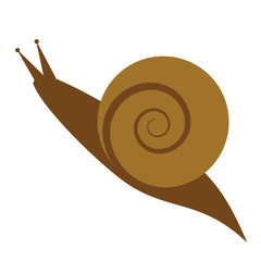 snail flat illustration