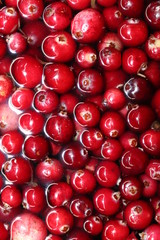 red cherry background of cherries