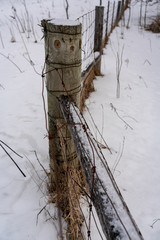 Fence post in the winter