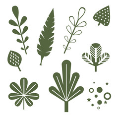 grass leaves flat illustration