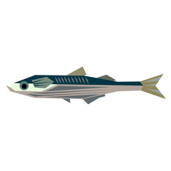 sea fish flat illustration