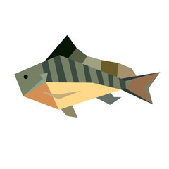 exotic fish flat illustration