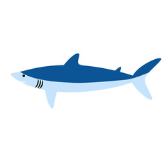 shark flat illustration