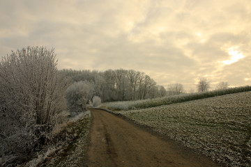 Winterlandschaft im Odenwald