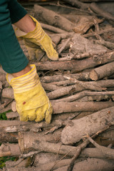 Fototapeta premium Man selecting and grabbing fire wood at the backyard of a house in the mountains. Gathering wood before and after the winter. Cleaning the garden. Working at home. Seasonal job at autumn or spring.