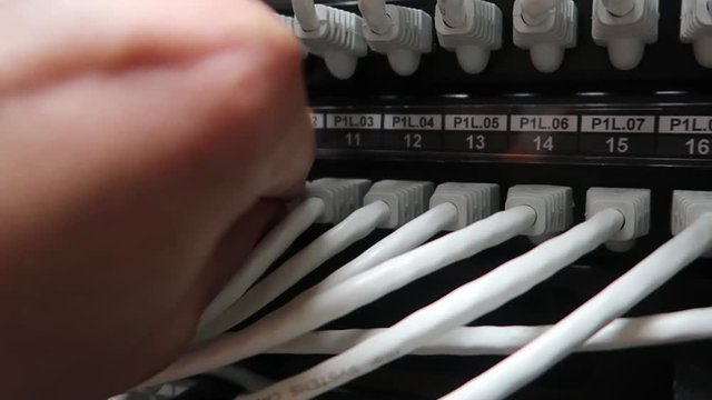 Indication of operation of the network equipment. It Engineer inserts the network cable into the switch. Lan Network Connection. Video contains vibration. Concept 3