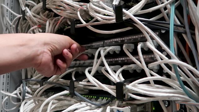 Indication of operation of the network equipment. It Engineer inserts the network cable into the switch. Lan Network Connection. Video contains vibration. Concept 3