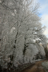 Winterlandschaft im Odenwald