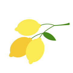 lemons branch flat simple illustration