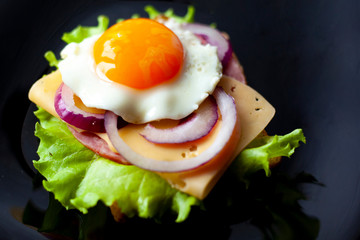 fried egg with lettuce, onions and cheese