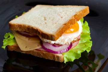 sandwiches with cutlet and fresh vegetables, onions, tomatoes, bell peppers, eggs, cheese and green salad