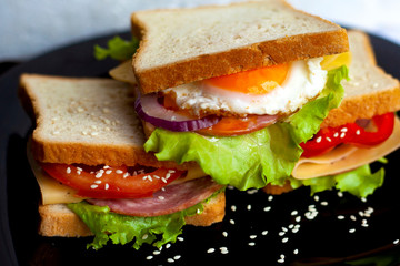 sandwiches with cutlet and fresh vegetables, onions, tomatoes, bell peppers, eggs, cheese and green salad