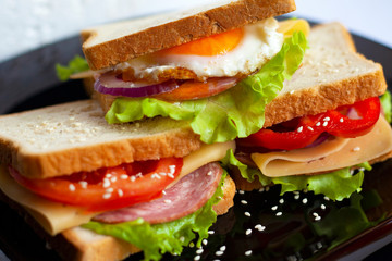 sandwiches with cutlet and fresh vegetables, onions, tomatoes, bell peppers, eggs, cheese and green salad