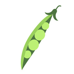 green peas branch flat simple illustration