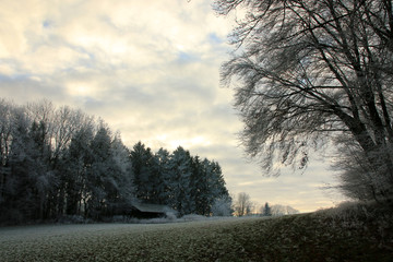 Winterlandschaft im Odenwald