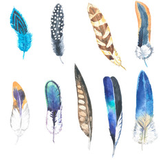 Watercolor illustration. Hand drawn feather set. Boho style. Elements for design. Cloth rug design.
