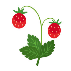 wild strawberry flat simple illustration