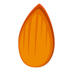 almond flat simple illustration