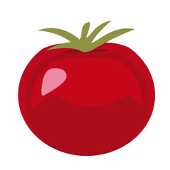 tomato flat simple illustration