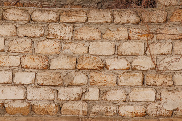 Masonry. The texture of the block.