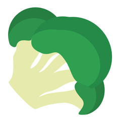 broccoli flat simple illustration
