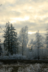Winterlandschaft im Odenwald