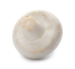 Fresh raw champignon mushroom on white background