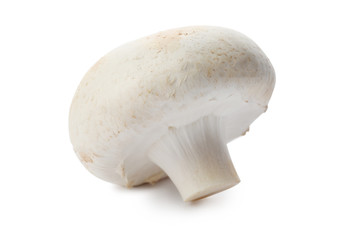 Fresh raw champignon mushroom on white background