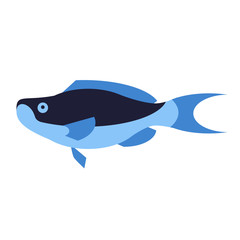 blue fish flat style illustration