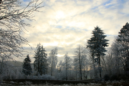 Winterlandschaft im Odenwald © Eileen Kumpf