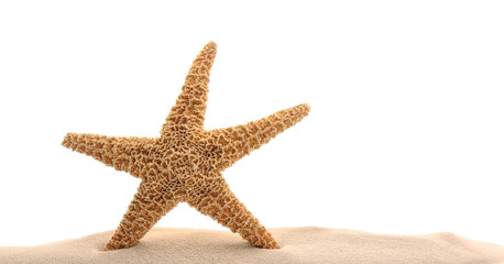 Fototapeta na wymiar Pile of beach sand with sea star isolated on white