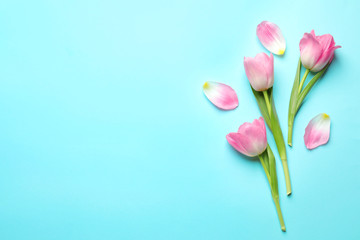 Flat lay composition of tulips on blue background, space for text. International Women's Day