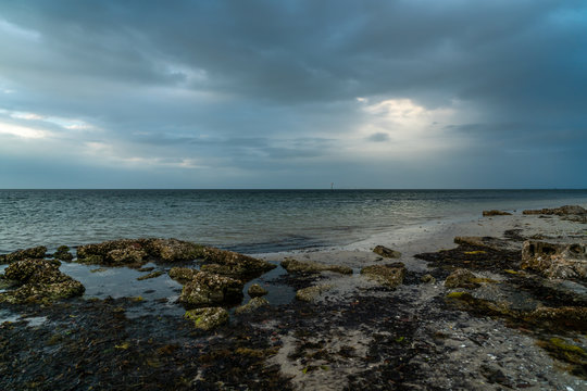 A look around Emerson Point Preserve and a beautiful sunset over Tampa Bay.