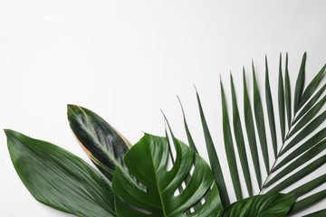 Flat lay composition with tropical leaves and space for text on white background - obrazy, fototapety, plakaty