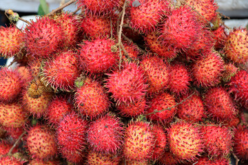 Hoi An market - Vietnam Asia