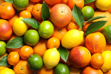 Different citrus fruits as background, top view