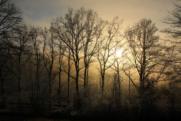Fototapeta premium Winterlandschaft im Odenwald