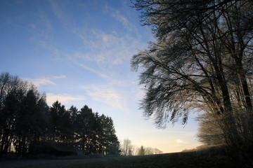 Winterlandschaft im Odenwald