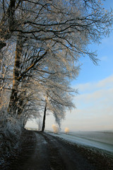 Winterlandschaft im Odenwald