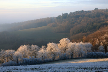 Obraz premium Winterlandschaft im Odenwald
