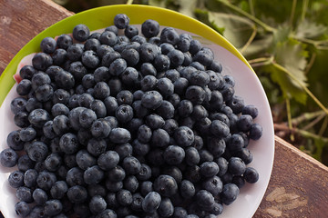 fresh blueberries closeup with dew drops on a plate on a wooden background