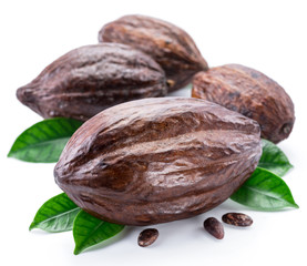 Cocoa pods with cocoa leaves isolated on a white background.