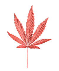 Cannabis leaf isolated on white. Hemp leaf close up. Marijuana drugs is produced from Cannabis leaf.