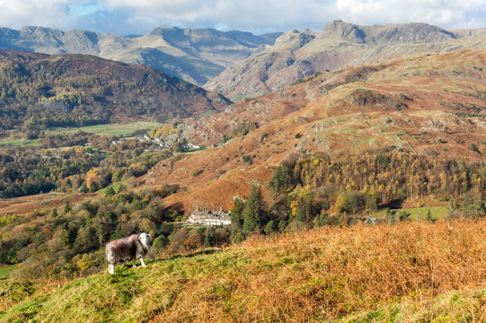 Landscape in the English Lake District