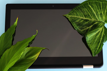 Tablet and Fresh Green Flower Leaves
