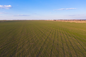 Airbrush photography of a green field from a height. Blue sky.