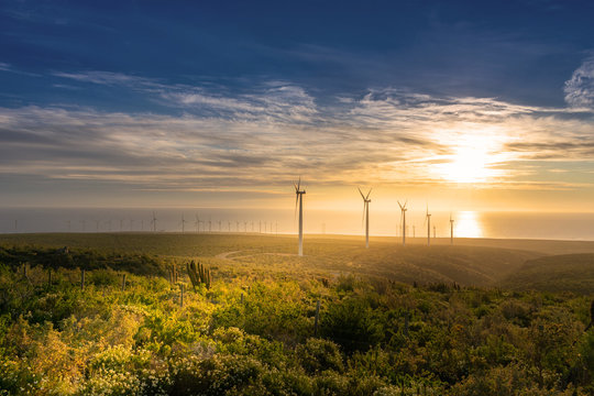 Energ&iacute;a e&oacute;lica en parque e&oacute;lico al atardecer con turbinas e&oacute;licas