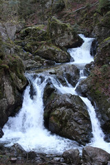 ruisseau/cours d'eau- tendon -88